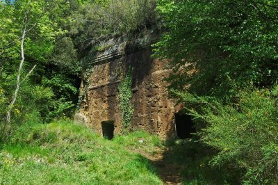 Tombe_etrusche_Parco_Regionale_Marturanum