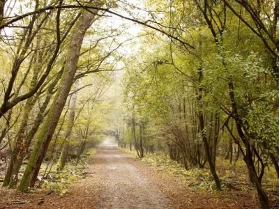 riserva_naturale_parco_della_mesola